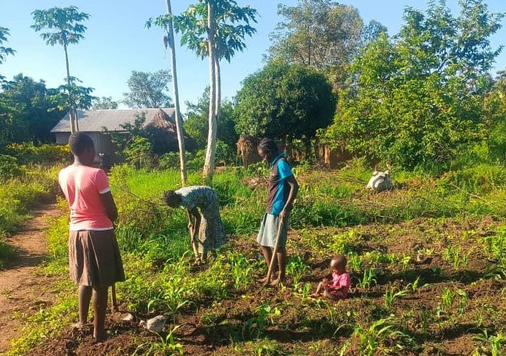 Grannies' Kitchen Garden Supplies