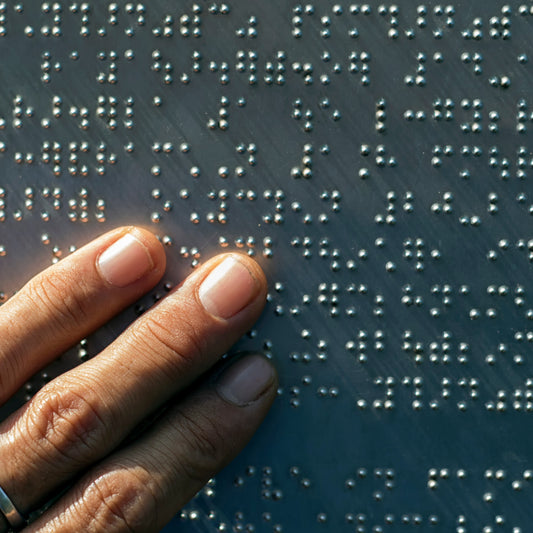 Braille or Audio Bibles